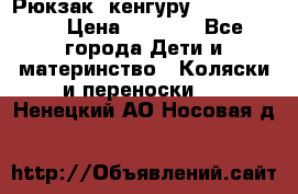 Рюкзак -кенгуру Baby Bjorn  › Цена ­ 2 000 - Все города Дети и материнство » Коляски и переноски   . Ненецкий АО,Носовая д.